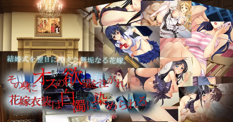 Homeguard 2 en Español para Android y Pc - Jitaku Keibiin 2 en Español - Arokai Traducciones - ArokaiTraducciones 3